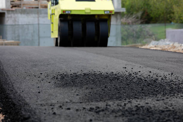 Best Local Driveway Pavers  in Roscommon, MI