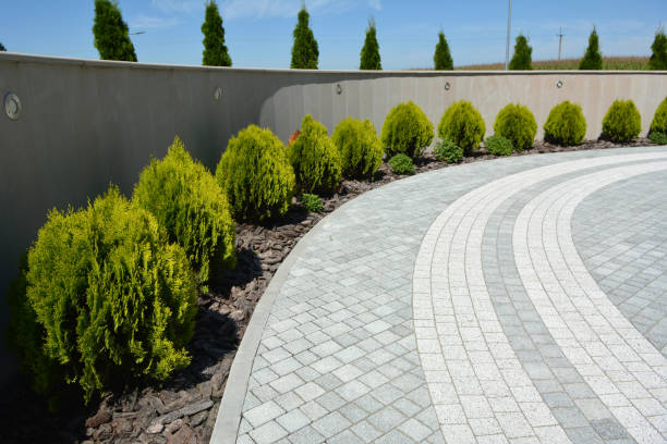 Best Decorative Driveway Pavers  in Roscommon, MI